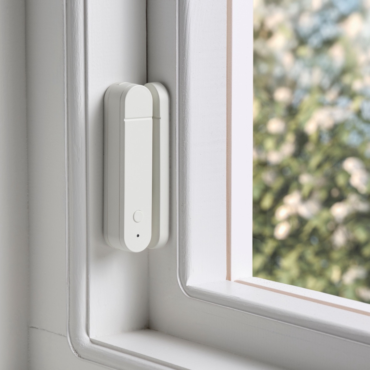 White door and window contact sensor on a white window frame